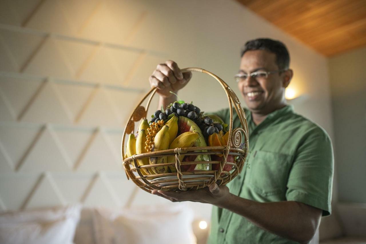 Lavendish Giritale 4* Polonnaruwa