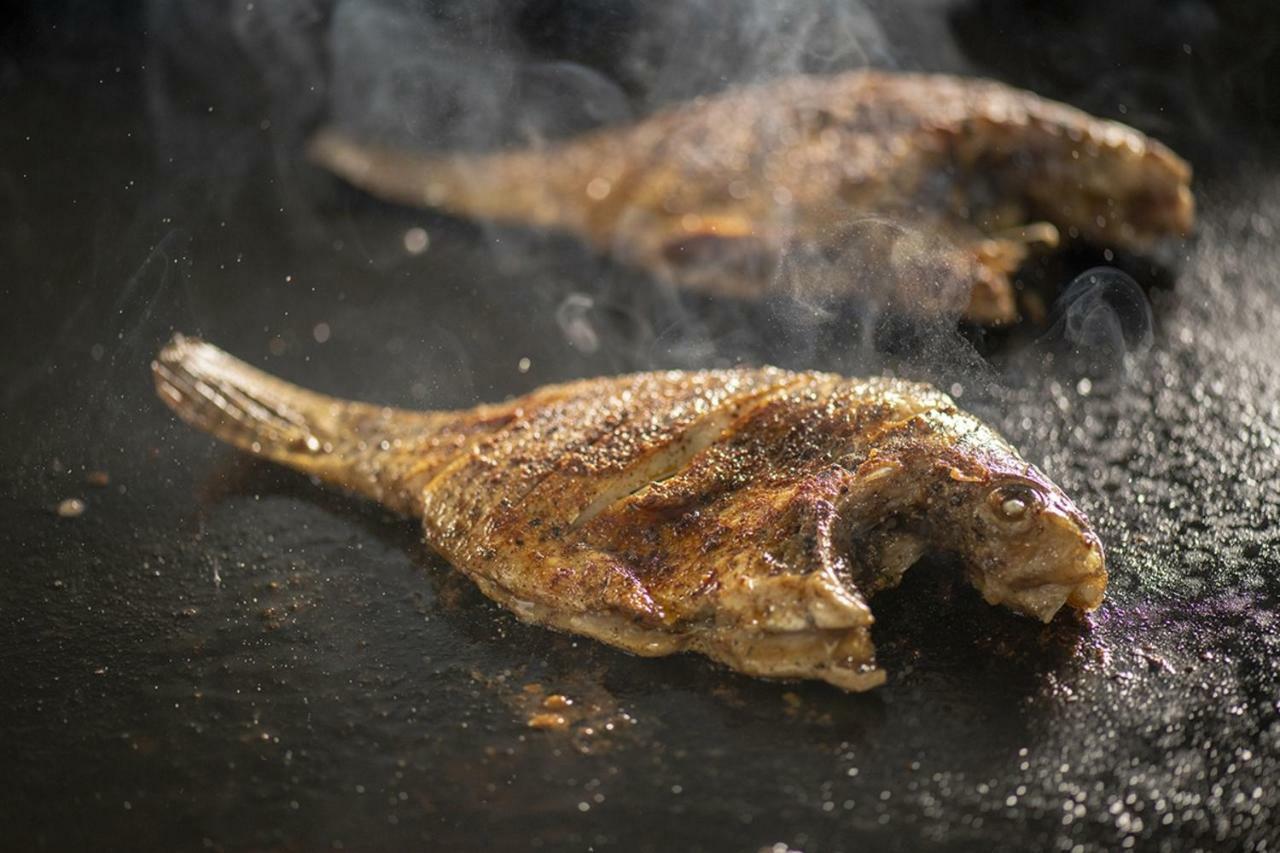 Lavendish Giritale
